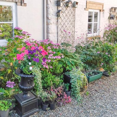 The Tower Cottage คลางกอซเลน ภายนอก รูปภาพ