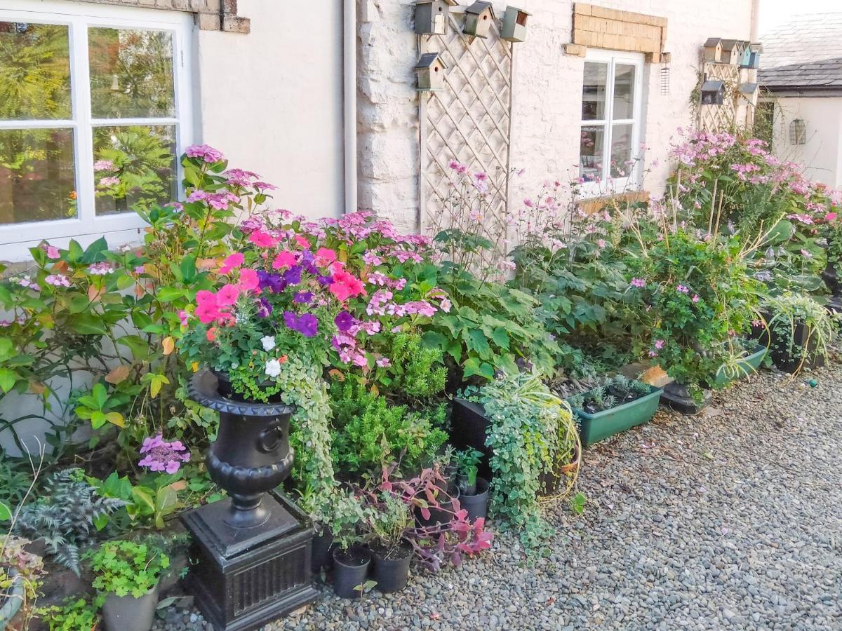 The Tower Cottage คลางกอซเลน ภายนอก รูปภาพ